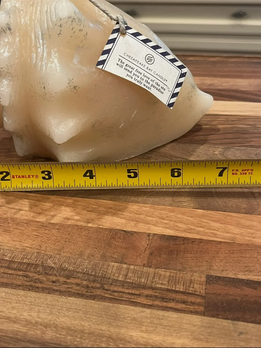 Classic Chesapeake Bay Candle co large Cream and silver Conch Shell candle. NEW!